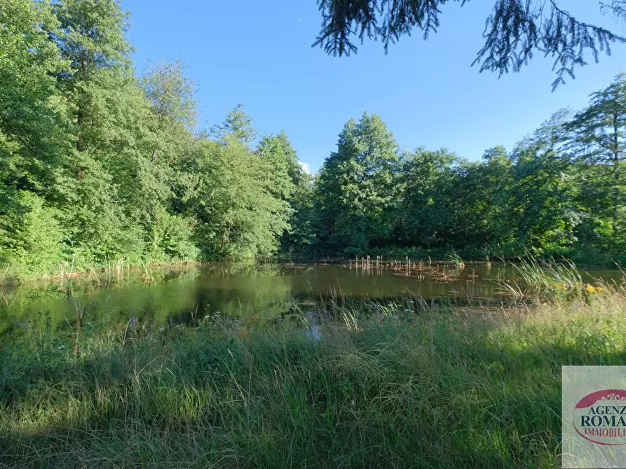 Immagine 30 di Casa indipendente in vendita  in Località Ca' Gepin 1 a Dego