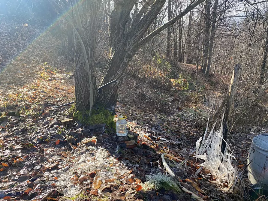 Immagine 16 di Casa indipendente in vendita  a Urbe