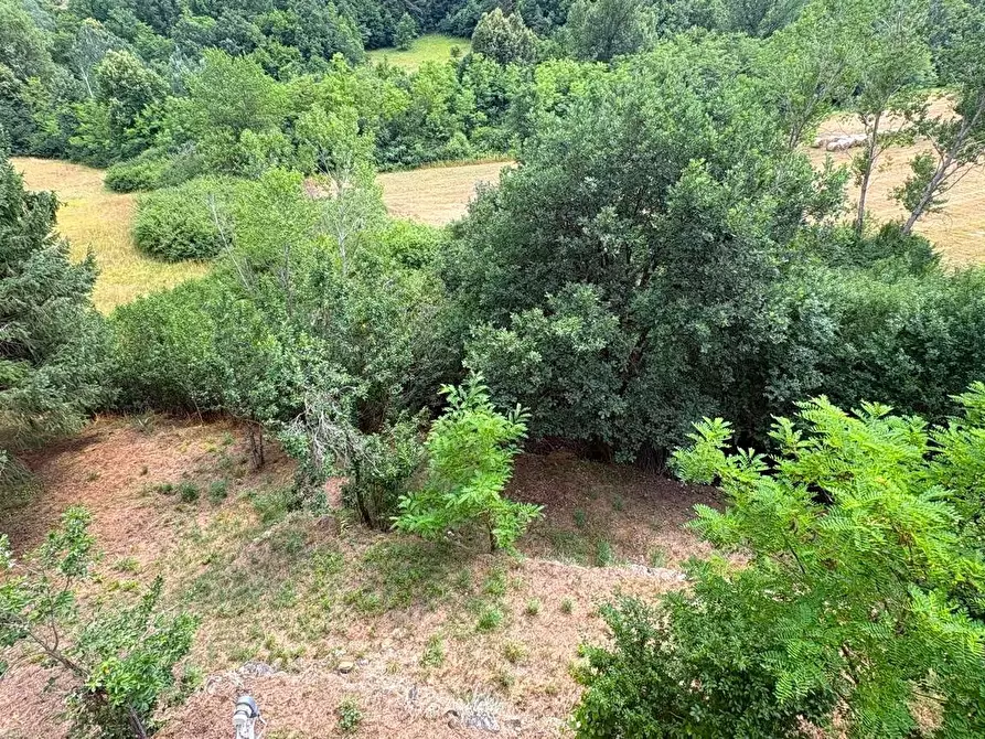 Immagine 46 di Rustico / casale in vendita  in SP216 6 a Pareto