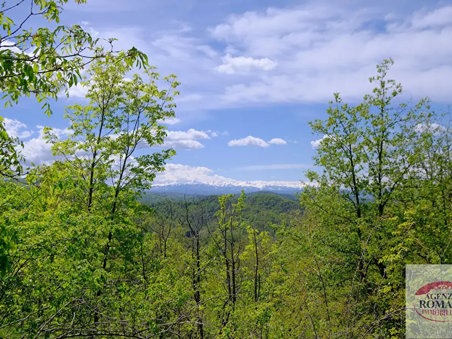 Immagine 21 di Rustico / casale in vendita  in Corso Bovio 2 a Giusvalla