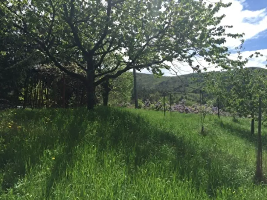 Immagine 12 di Appartamento in vendita  a Sassello