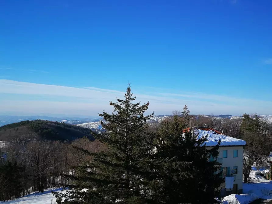 Immagine 25 di Quadrilocale in vendita  a Sassello