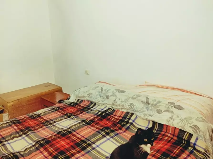 Immagine 17 di Casa indipendente in vendita  a Varazze