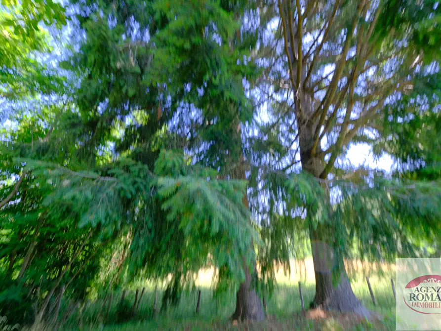 Immagine 14 di Terratetto in vendita  in Via Piani di Acquabianca 20 a Urbe