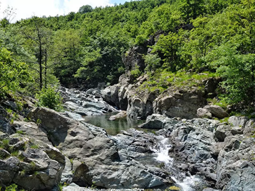 Immagine 32 di Rustico / casale in vendita  in Via Dano a Sassello