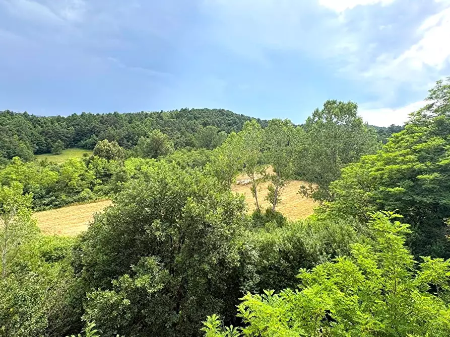 Immagine 54 di Rustico / casale in vendita  in SP216 6 a Pareto