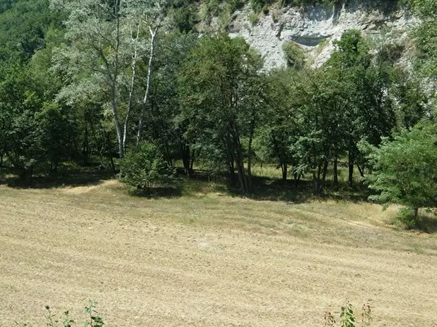 Immagine 11 di Villa in vendita  in Regione San Michele 3 a Castelletto Uzzone