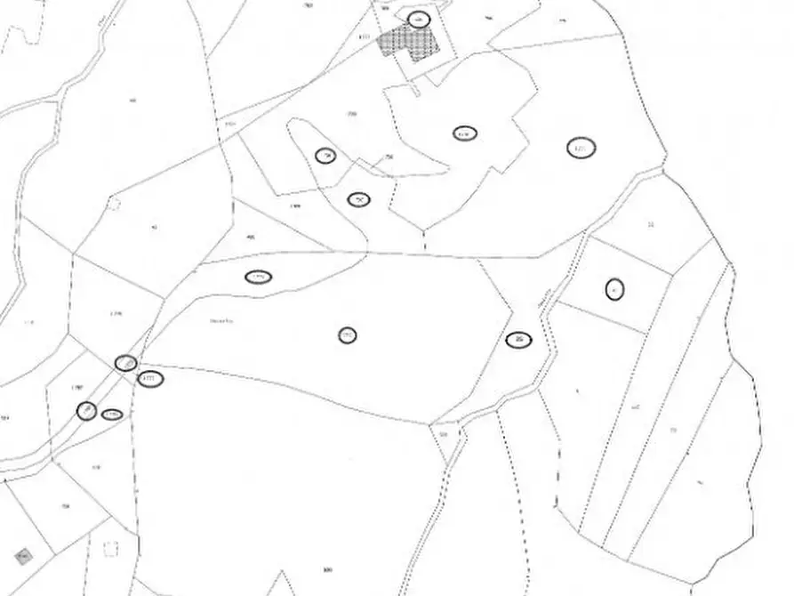 Immagine 2 di Terreno agricolo in vendita  in Via Geminiano snc a Genova