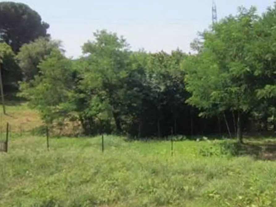 Immagine 6 di Terreno agricolo in vendita  in Via Acquasanta snc a Genova