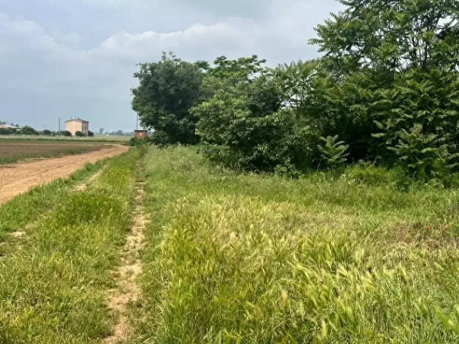 Immagine 4 di Terreno edificabile in vendita  in Via Frugarolo 94 a Alessandria