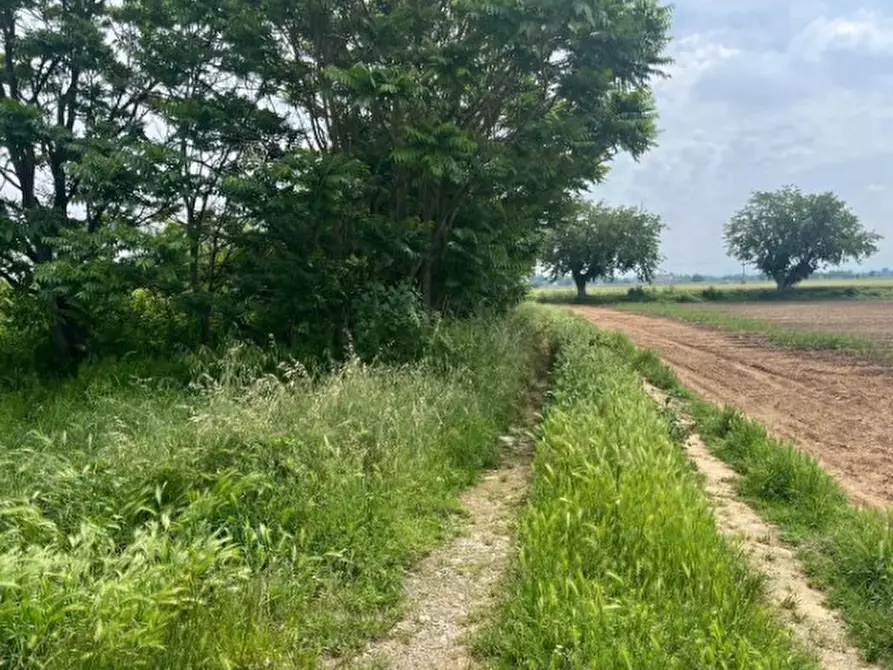 Immagine 1 di Terreno edificabile in vendita  in Via Frugarolo 94 a Alessandria