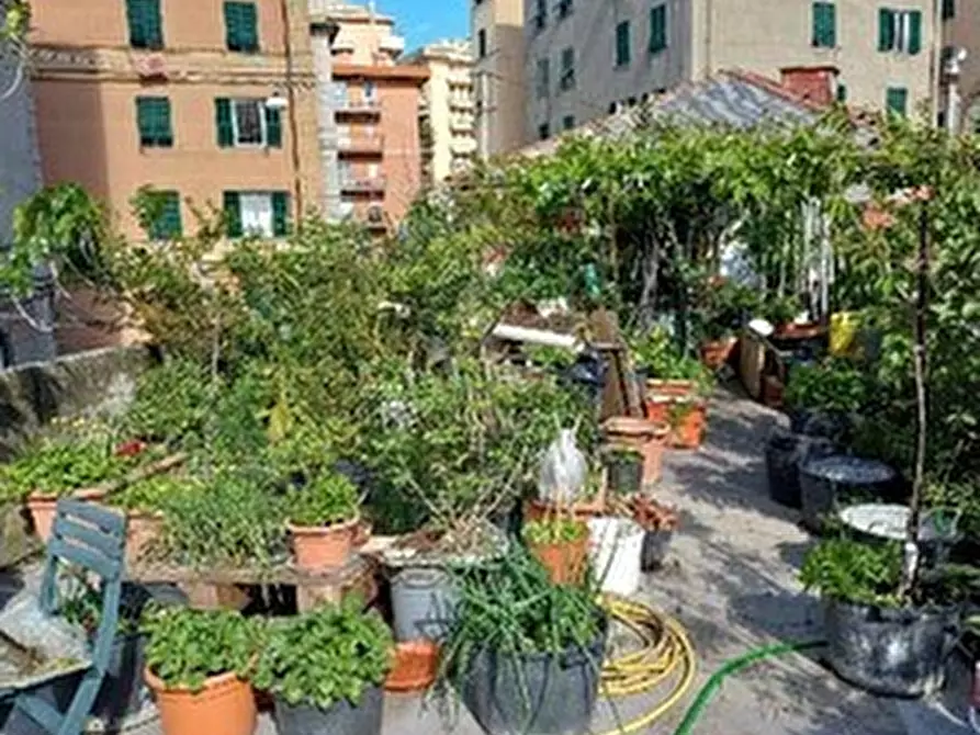 Immagine 11 di Pentalocale in vendita  in Via Chiaravagna 35 a Genova