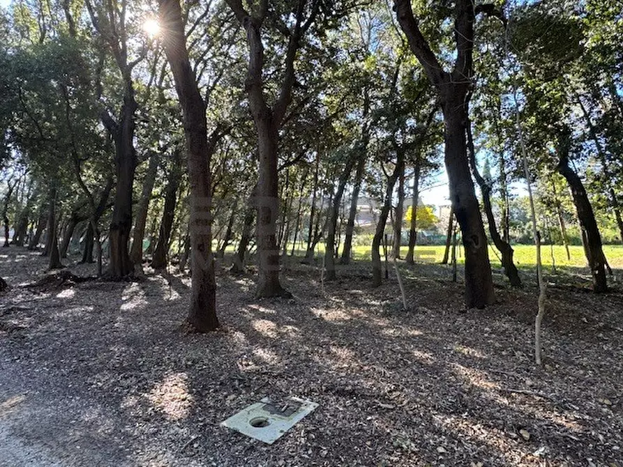 Immagine 10 di Terratetto in vendita  in Via Ombrosa 8 a Livorno