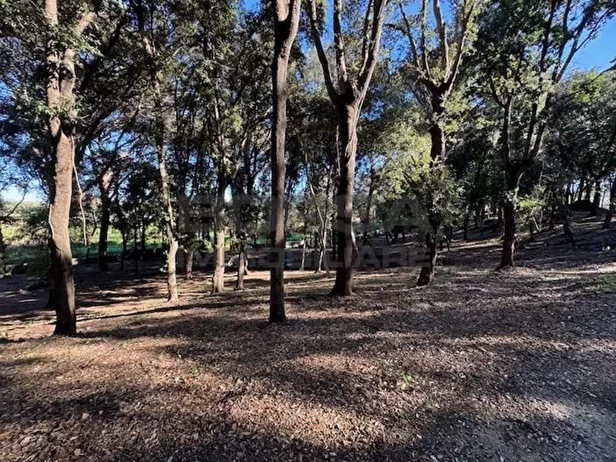 Immagine 8 di Terratetto in vendita  in Via Ombrosa 8 a Livorno