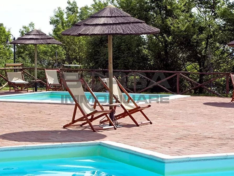 Immagine 21 di Terratetto in vendita  in via della camminata a Guardistallo