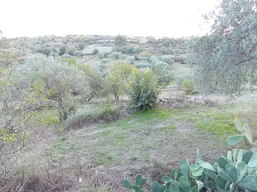 Immagine 16 di Casa bifamiliare in vendita  a Ragusa