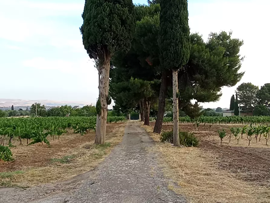 Immagine 13 di Villa in vendita  a Chiaramonte Gulfi
