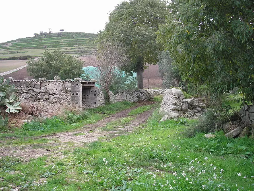 Immagine 3 di Rustico / casale in vendita  a Ragusa