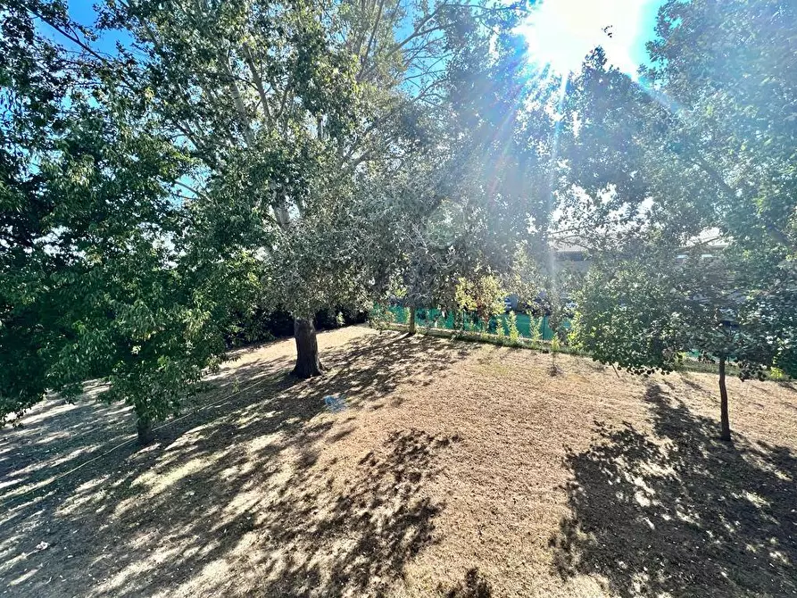 Immagine 41 di Villa in vendita  a Cesena