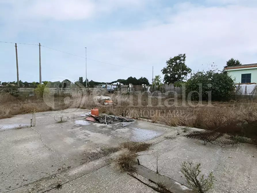 Immagine 7 di Terreno agricolo in vendita  in Via della Campana a Anzio