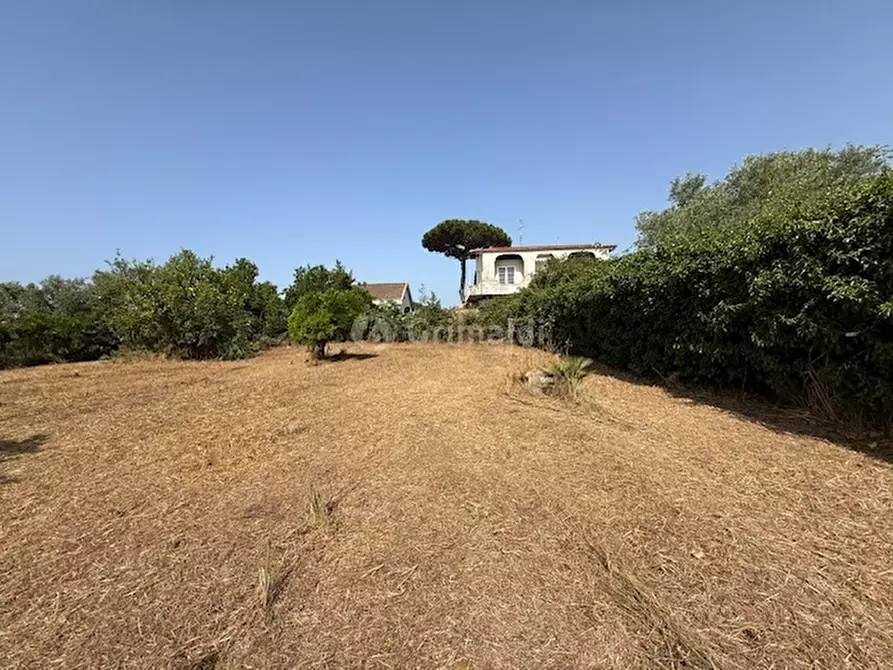 Immagine 5 di Terreno edificabile in vendita  in Via Viminale a Nettuno