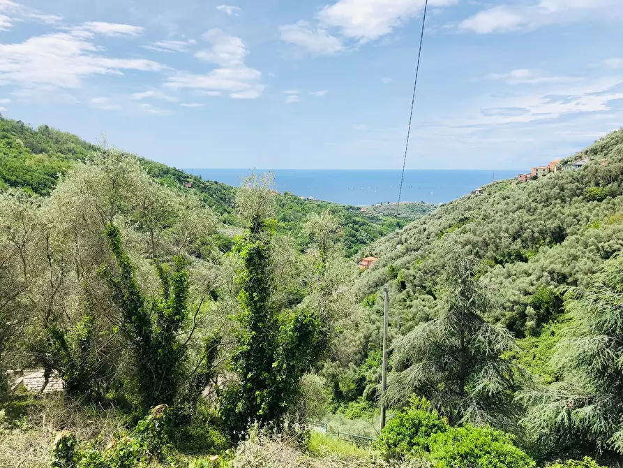 Immagine 1 di Rustico / casale in vendita  in Via Costigliolo a Cogorno