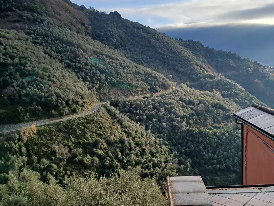 Immagine 11 di Terratetto in vendita  in Località Lavaggiorosso 8 a Levanto
