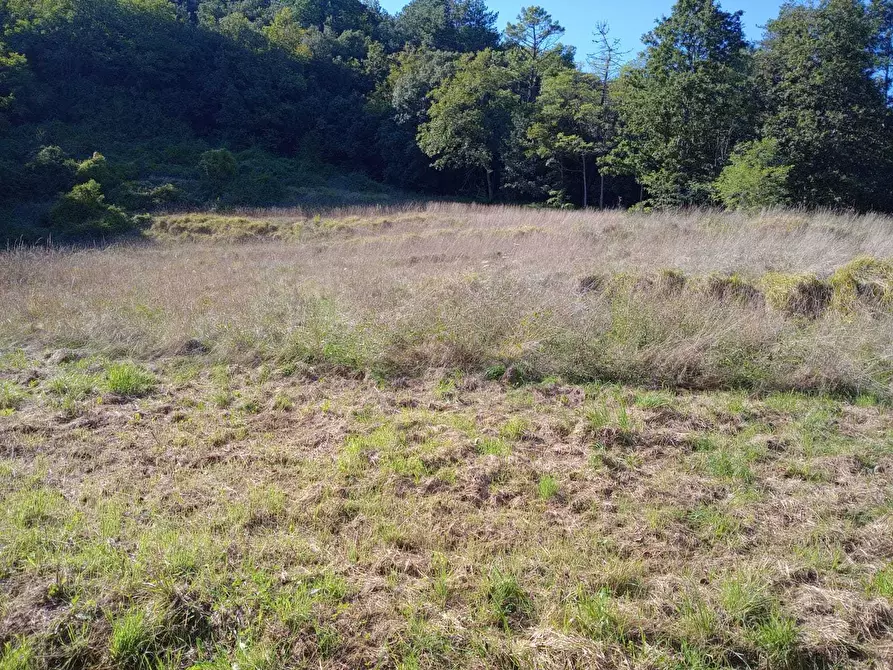 Immagine 10 di Terratetto in vendita  in Campo Benedetto 1 a Varese Ligure