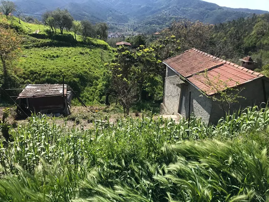 Immagine 2 di Terreno edificabile in vendita  in Via Olivella Caminata a Casarza Ligure