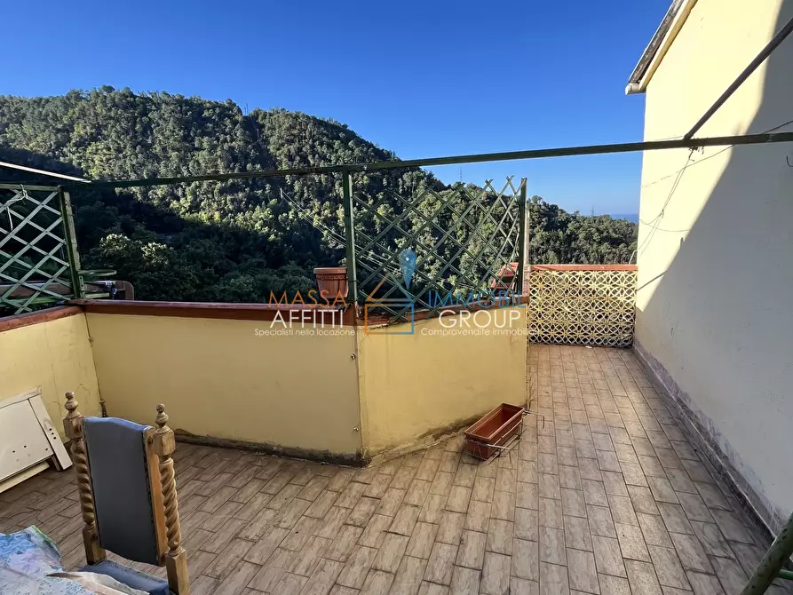 Immagine 18 di Terratetto in vendita  in via Gaspero Jacopetti 96 a Massa