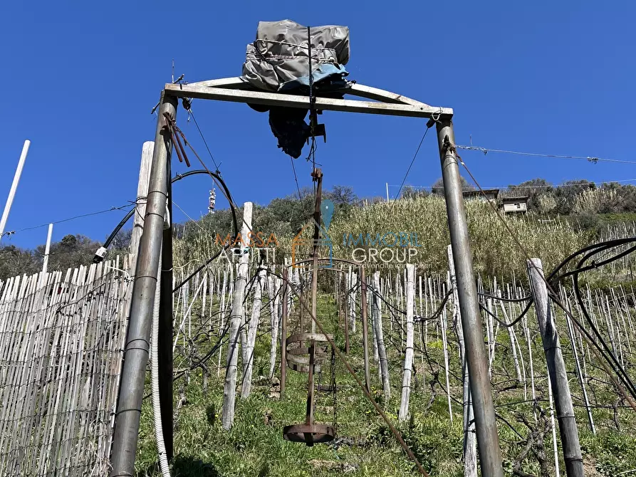 Immagine 46 di Villa in vendita  in Via San Lorenzo 70 a Massa