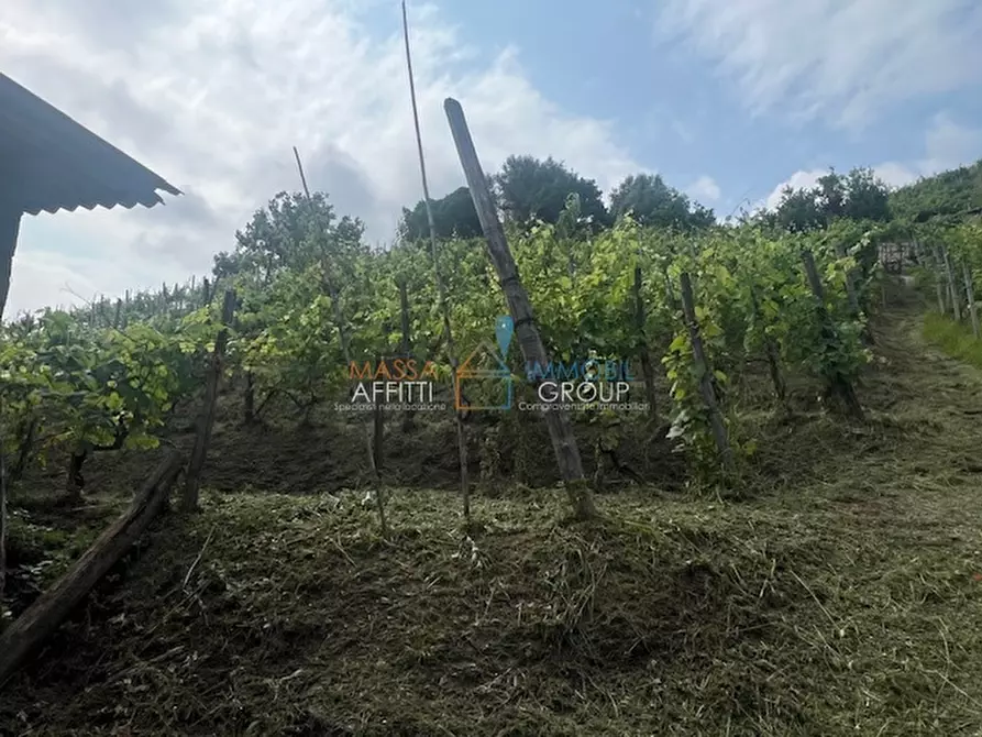 Immagine 8 di Terreno agricolo in vendita  in Via del Pozzo 2 a Massa