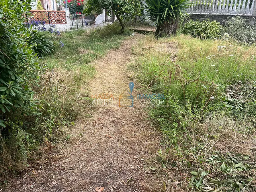 Immagine 6 di Terreno agricolo in vendita  in Via San Giuseppe Vecchio 37 a Massa