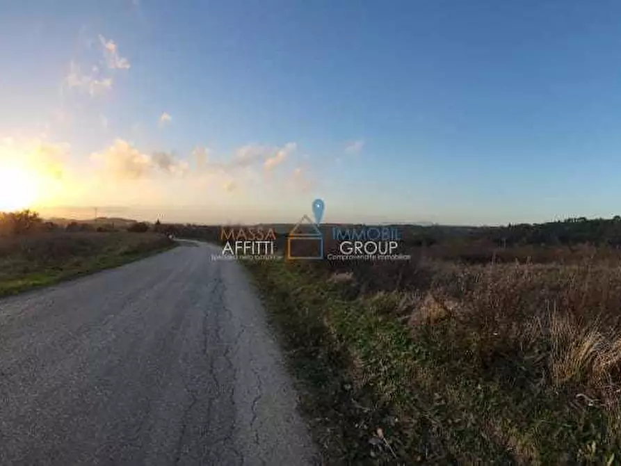 Immagine 8 di Terreno agricolo in vendita  in Via Carbonaia a Palaia