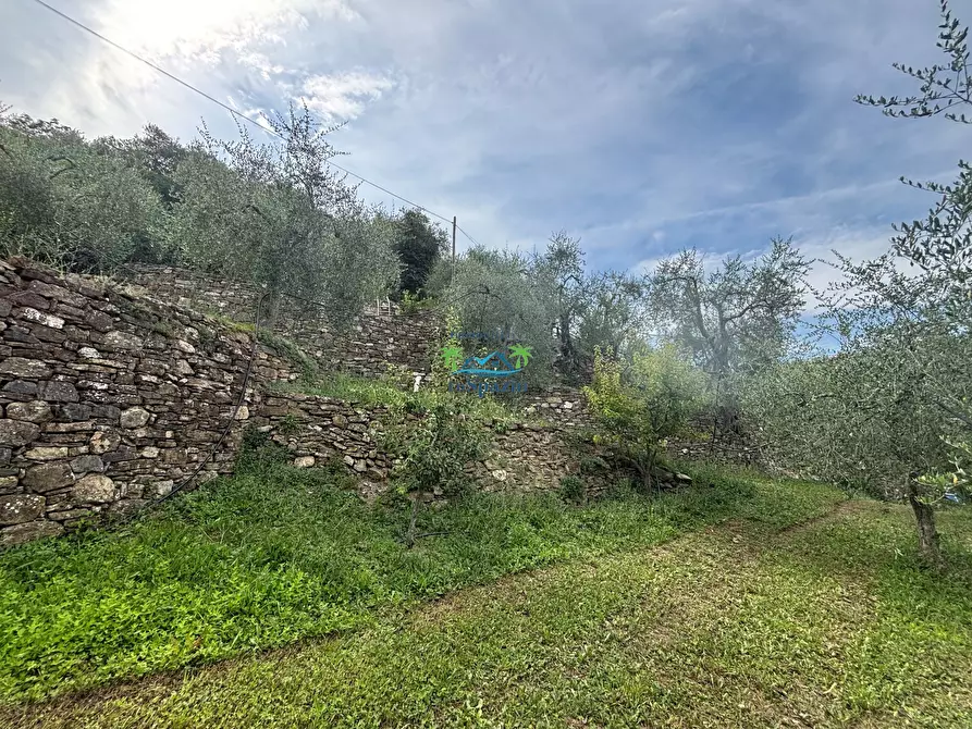 Immagine 82 di Rustico / casale in vendita  in Località Ciantà a Stellanello