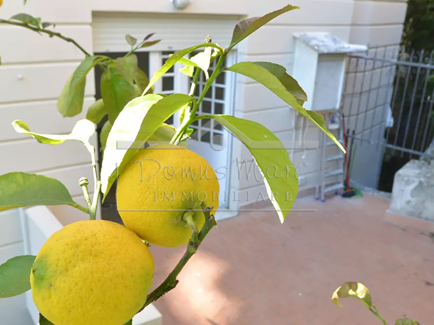 Immagine 19 di Pentalocale in vendita  in Via Montegrappa 4 a Savona