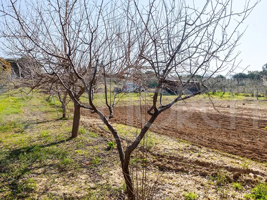 Immagine 12 di Terreno agricolo in vendita  in Via delle Sorgenti a Livorno