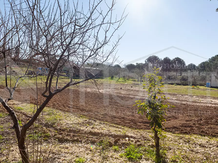 Immagine 10 di Terreno agricolo in vendita  in Via delle Sorgenti a Livorno