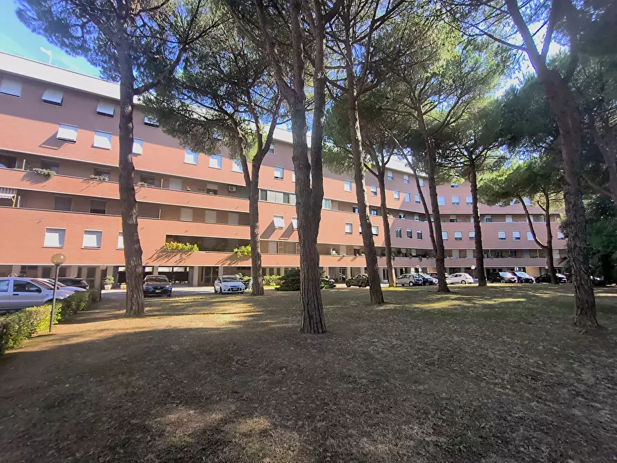 Immagine 2 di Pentalocale in vendita  in Via Ludovico Antonio Muratori a Livorno