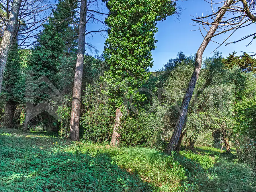 Immagine 99 di Villa in vendita  in Via Parrana San Martino a Collesalvetti