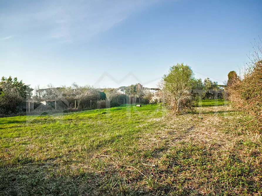 Immagine 39 di Terreno agricolo in vendita  in Via delle Sorgenti a Livorno