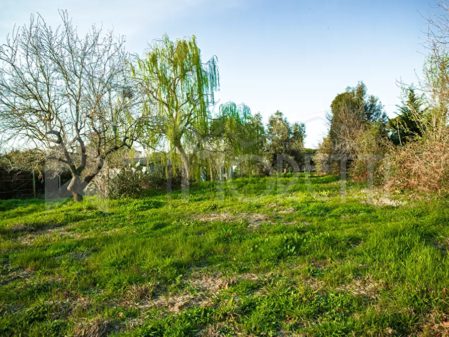 Immagine 36 di Terreno agricolo in vendita  in Via delle Sorgenti a Livorno
