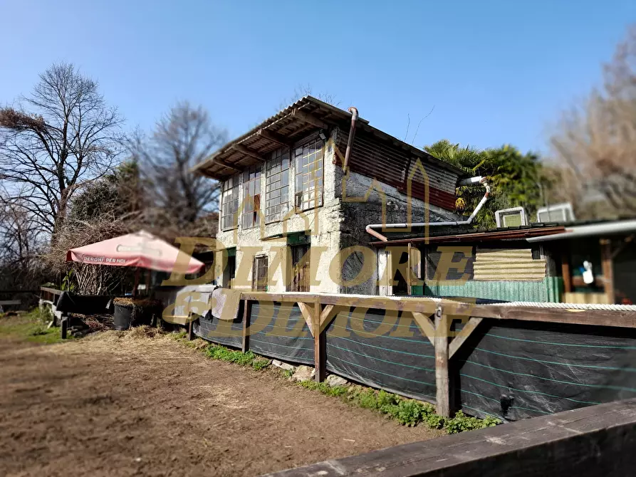 Immagine 3 di Terreno agricolo in vendita  a Verbania