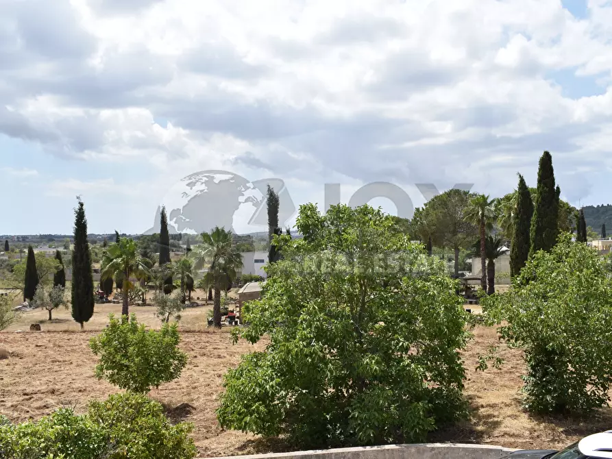 Immagine 51 di Villa in vendita  in Via Carlo Donat Cattin 63 a Specchia