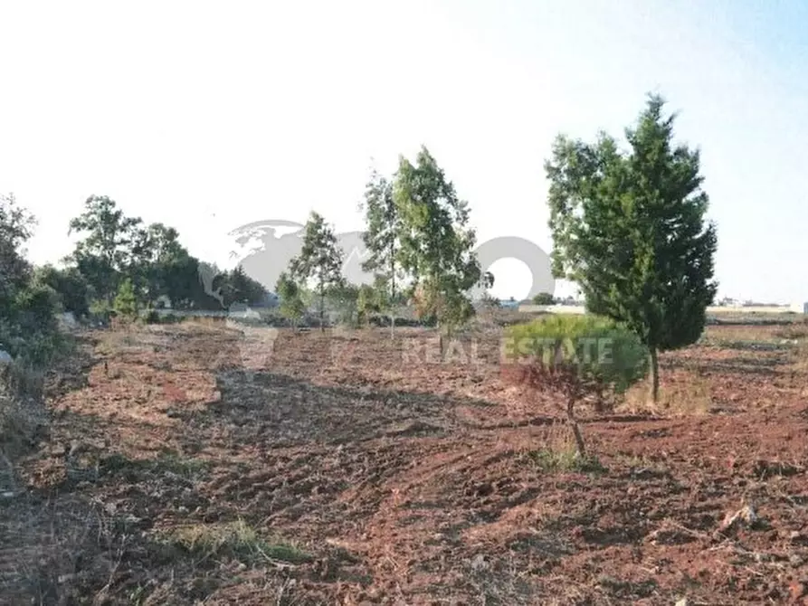 Immagine 7 di Terreno agricolo in vendita  in Via del Codibugnolo a Lecce