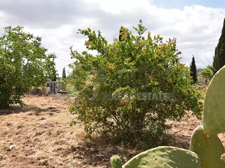 Immagine 24 di Villa in vendita  in Via Carlo Donat Cattin 63 a Specchia