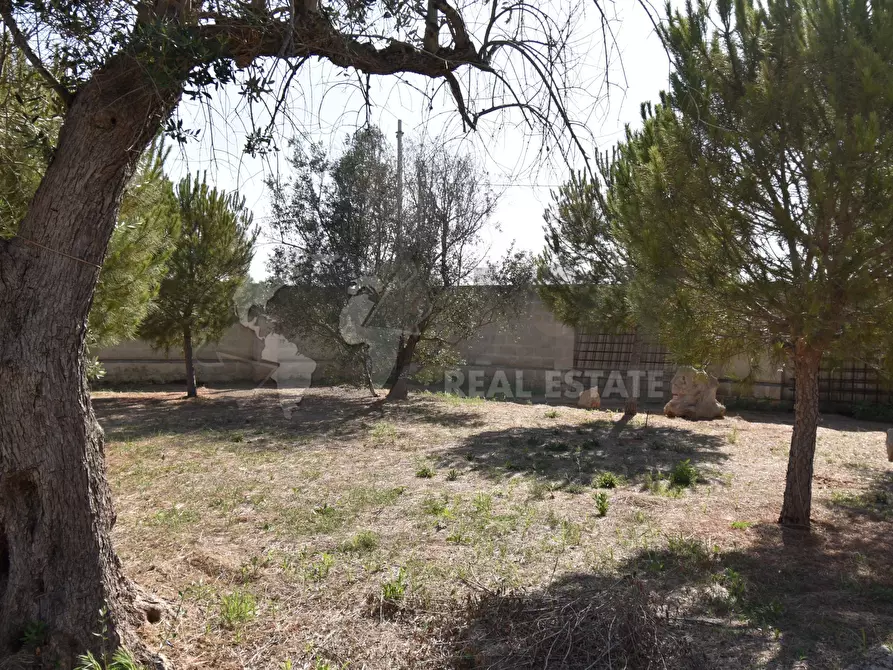 Immagine 24 di Casa indipendente in vendita  in Via Bernardino Desa 14 a Copertino