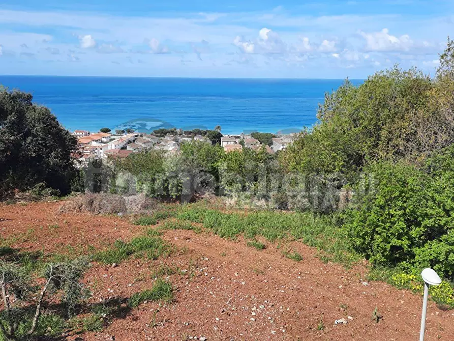 Immagine 2 di Villa in vendita  a Diamante