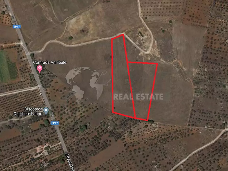 Immagine 3 di Terreno industriale in vendita  in Strada Provinciale 17 63 a Sannicola