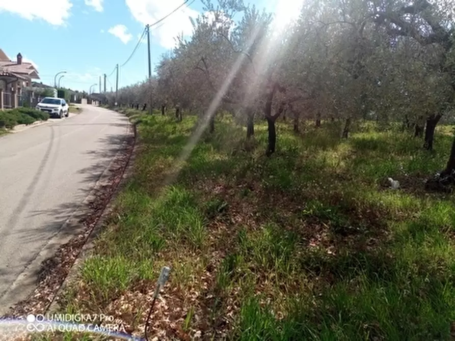 Immagine 20 di Terreno agricolo in vendita  a Fossacesia